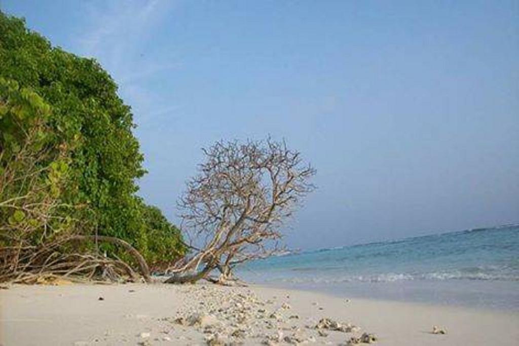 Madi Finolhu Guest House Dharavandhoo Exterior foto